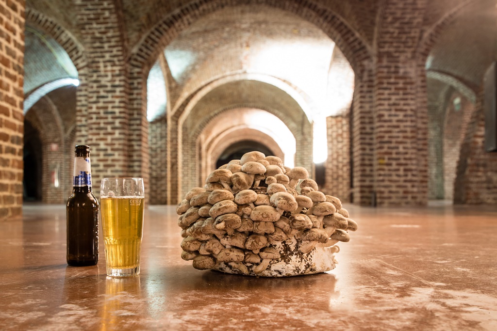 Le Champignon de Bruxelles:  De kring van het Brusselse bier sluiten