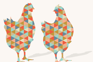 Life is Wonderpoule – Un projet all-inclusive de location pour l’élevage de poules