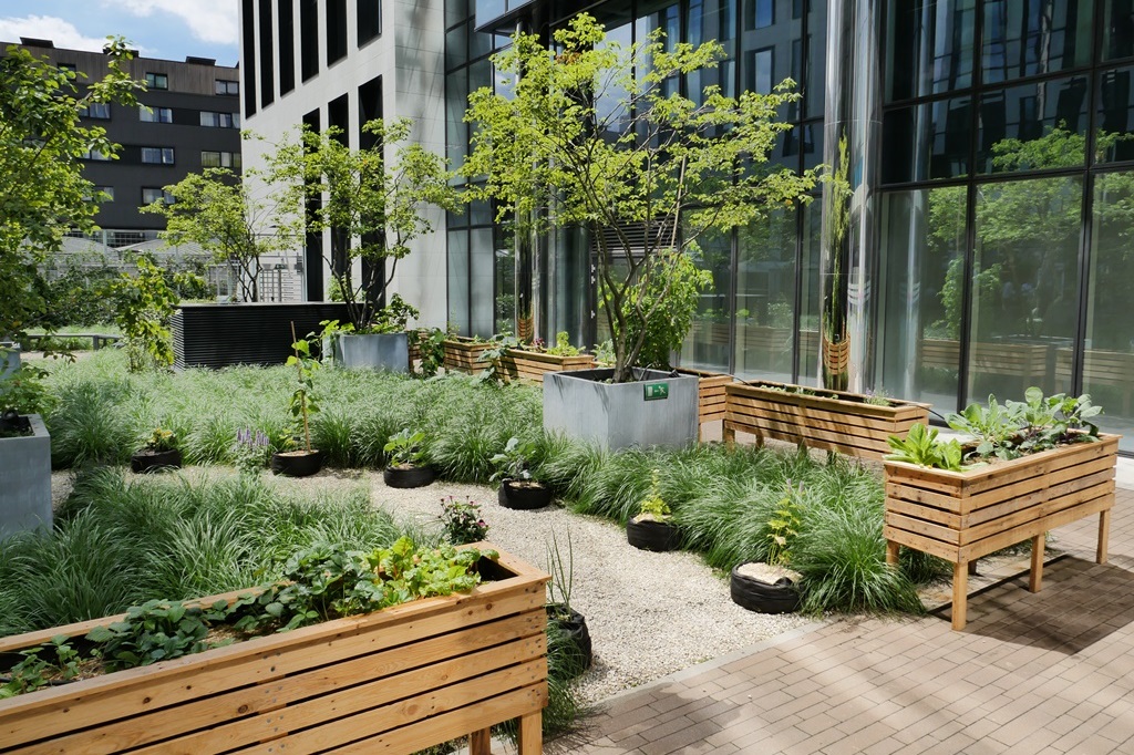 Skyfarms : Opleiding in stadslandbouw voor de ondernemingen