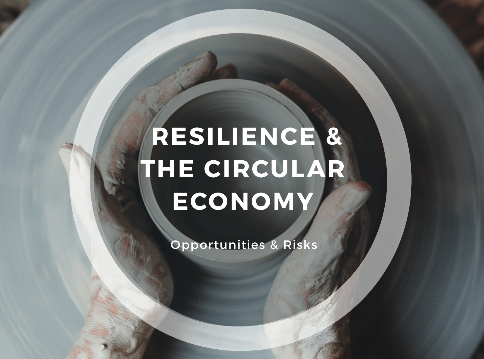 Circulaire economie en veerkracht – Circle Economy maakt de balans op