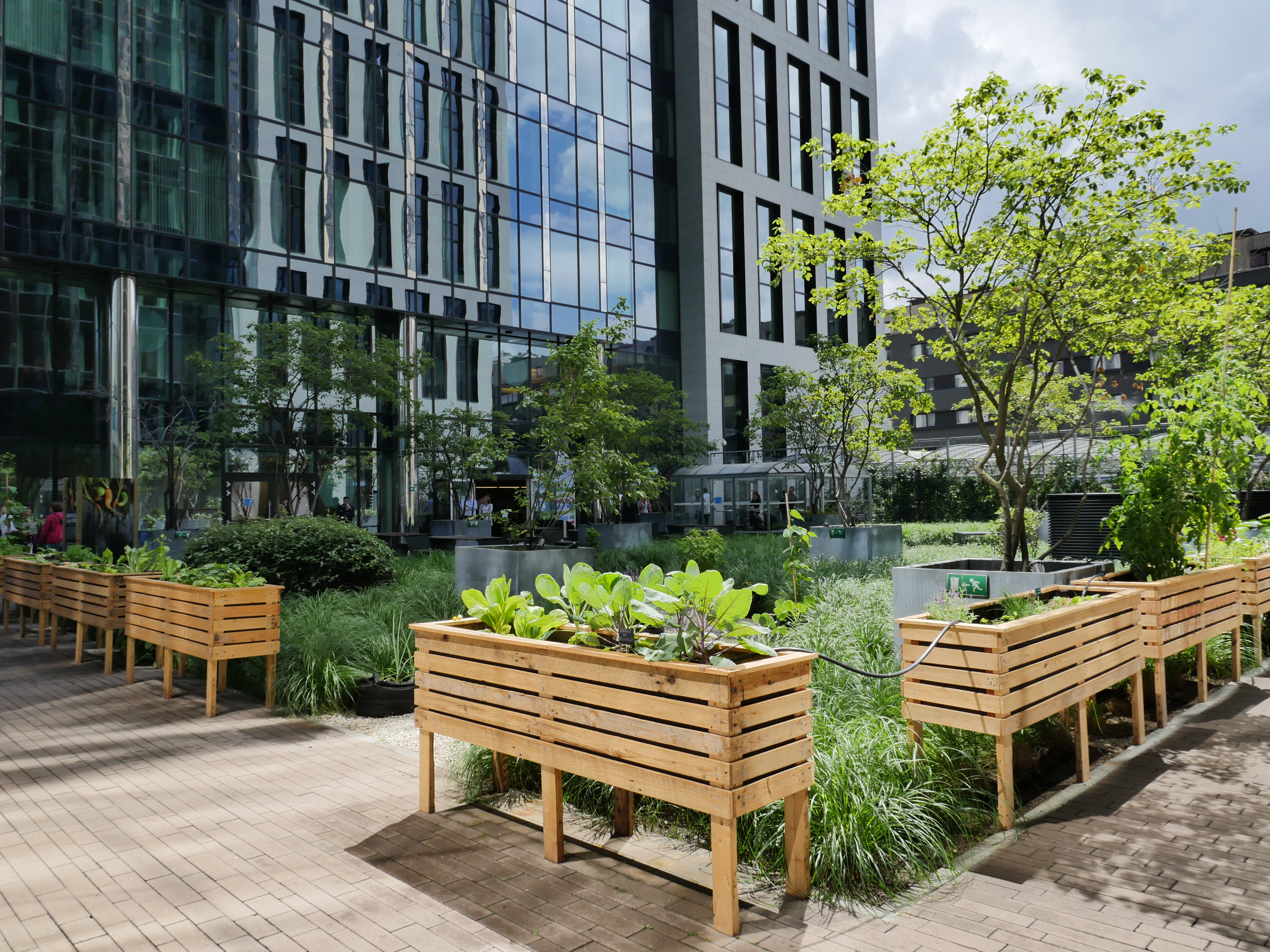 Interview: Skyfarms, pour une verdurisation maraichère de Bruxelles