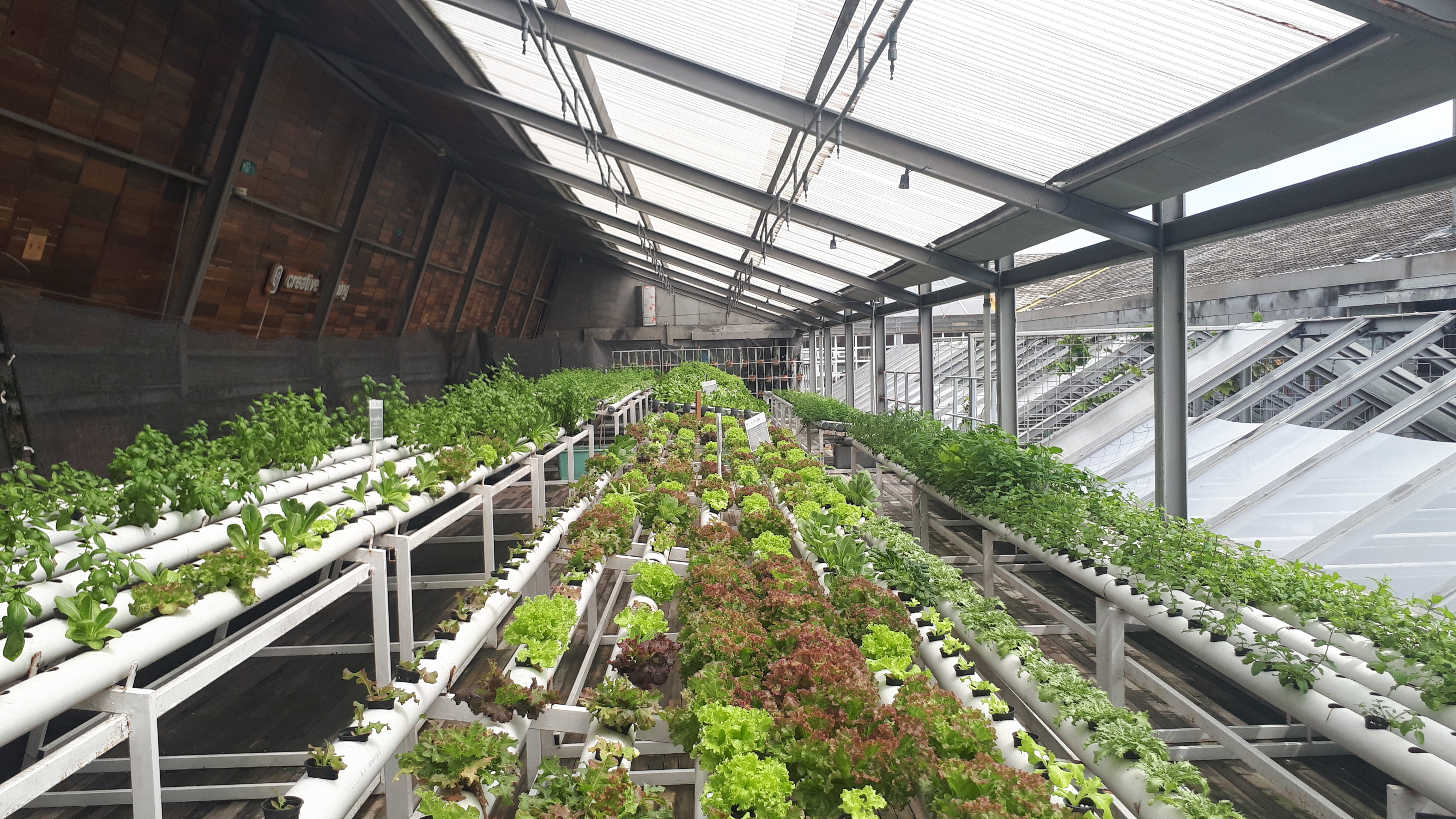 Aquaponics, een heerlijk circulaire oplossing